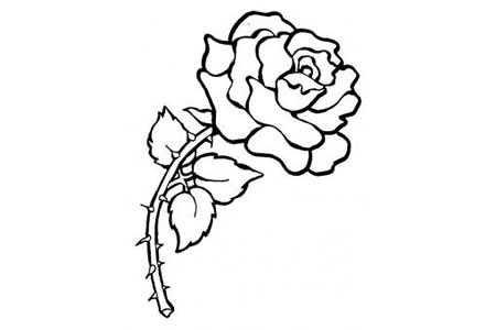 玫瑰花刺简笔画图片