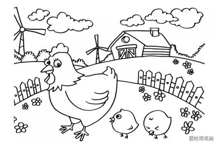 农场鸡简笔画图片