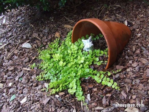 Spilled Flower Pots԰շ úԺɻ