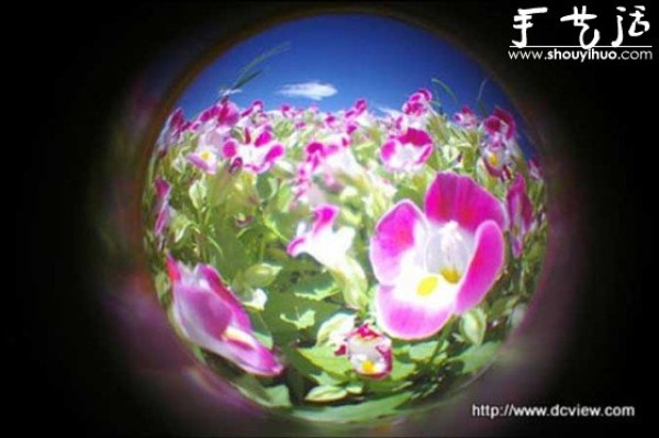 ͳɱDIY۾ͷFISHEYE