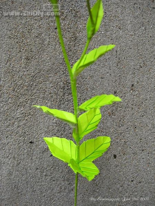 ˮֽƷֽ۹Origami Balloon-Flower