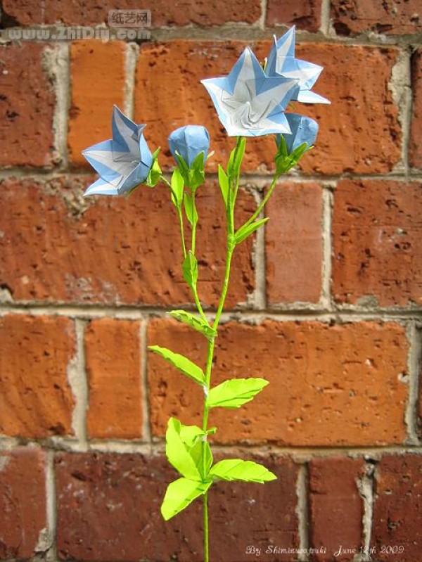 ˮֽƷֽ۹Origami Balloon-Flower