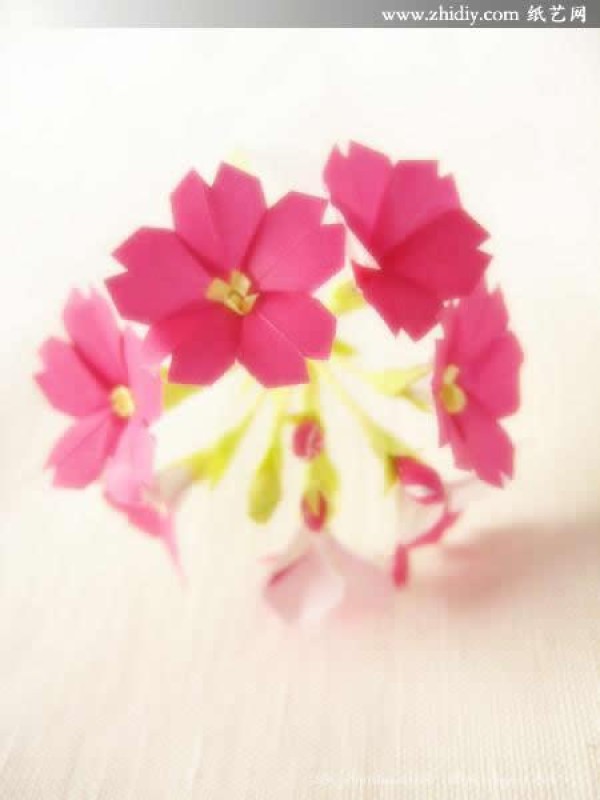 ˮµͶƷֽOrigami Primrose